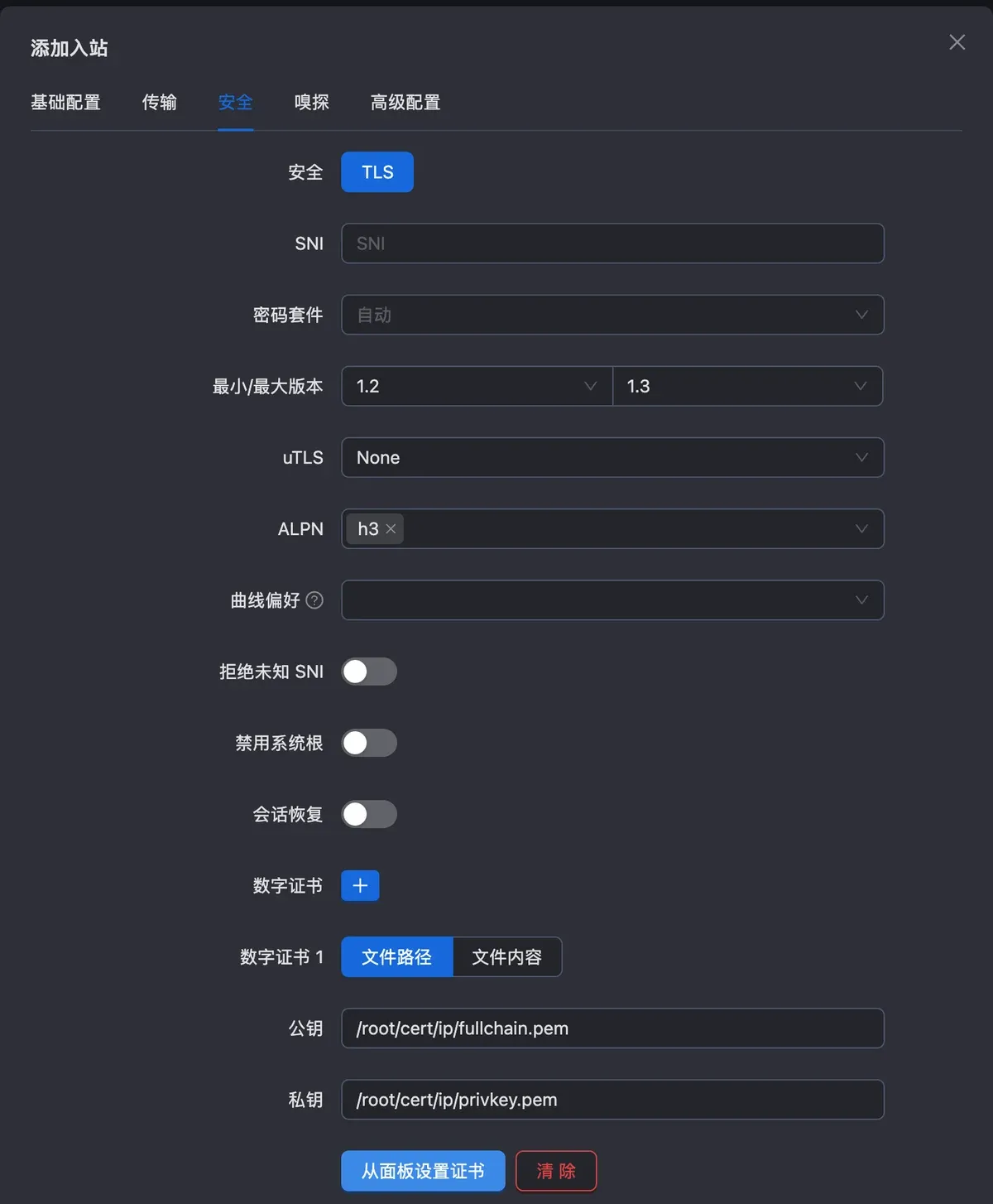 安全页：TLS，ALPN h3，点从面板设置证书后填好了证书路径
