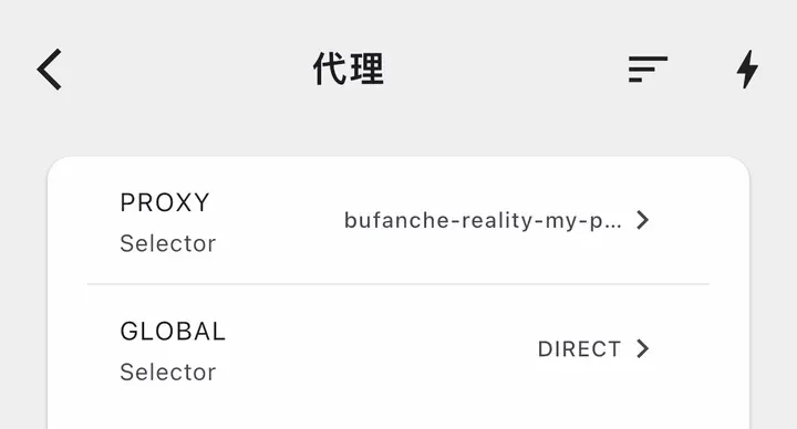 代理页：PROXY 选的是节点，GLOBAL 默认是 DIRECT