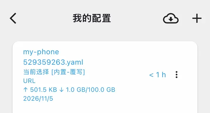 我的配置：my-phone，已用流量 / 100.0 GB，到期 2026/11/5