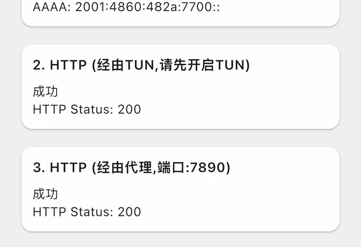 网络检测：经由 TUN 成功 HTTP Status 200