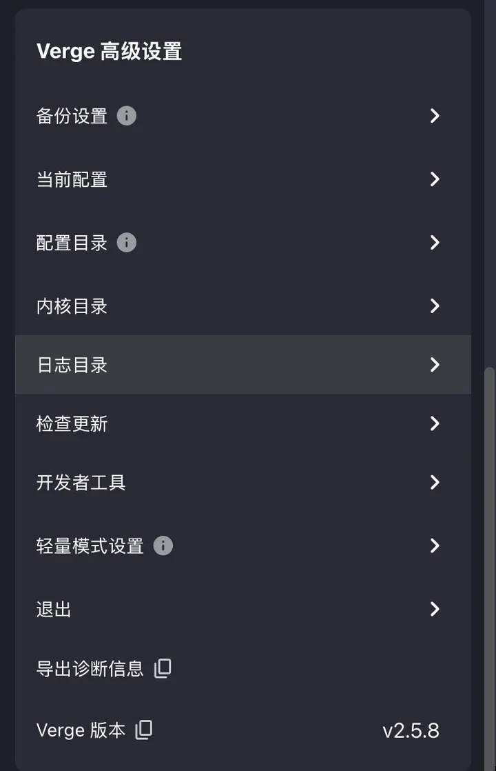 Verge 高级设置：退出