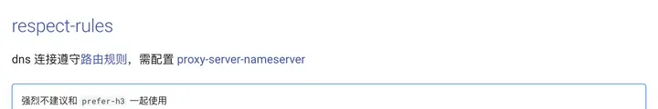 mihomo 文档:respect-rules,DNS 连接遵守路由规则,需配置 proxy-server-nameserver