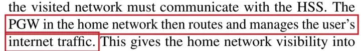 论文原文:PGW in the home network then routes and manages the user’s internet traffic