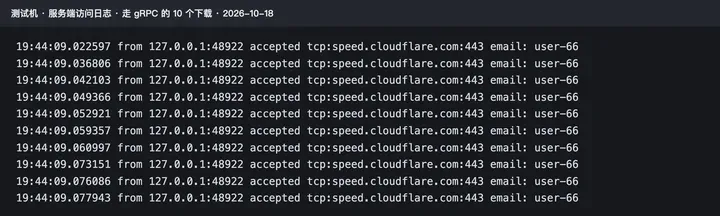 Xray 访问日志：10 行 speed.cloudflare.com:443，来源都是 127.0.0.1:48922