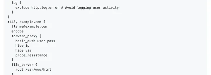 NaiveProxy README 示例 Caddyfile：forward_proxy 里的 basic_auth、hide_ip、hide_via、probe_resistance