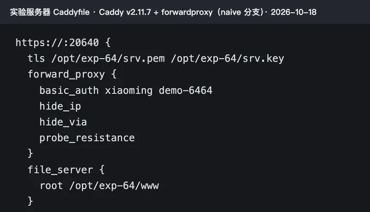 实验用的 Caddyfile：basic_auth、hide_ip、hide_via、probe_resistance，最后是 file_server