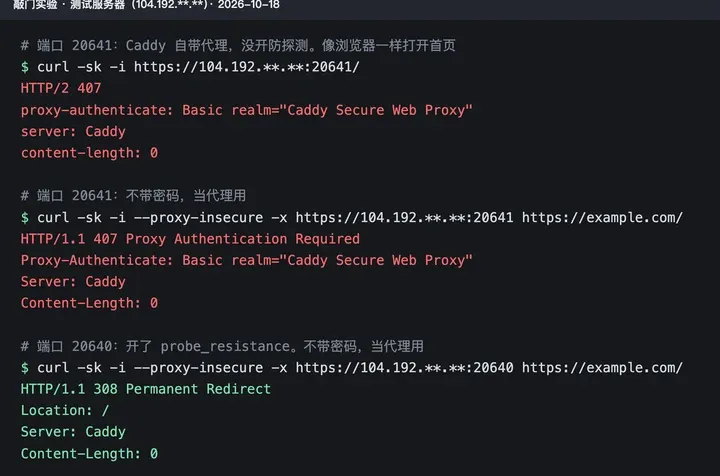 敲门结果：20641 端口打开首页、不带密码当代理用都回 407，realm 写着 Caddy Secure Web Proxy；20640 端口不带密码当代理用回 308 跳回首页