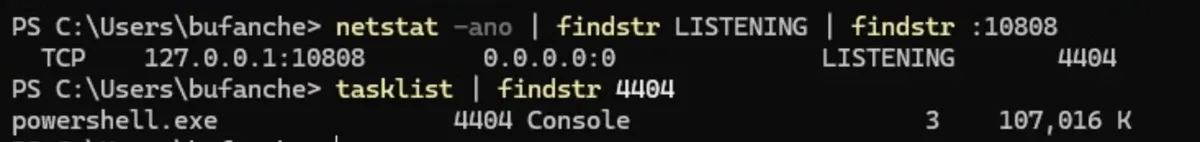 netstat:127.0.0.1:10808 LISTENING 4404;tasklist:powershell.exe