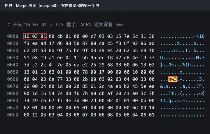 抓包：Morph 关闭时客户端第一个包是 TLS 握手，ALPN 明文是 nw3