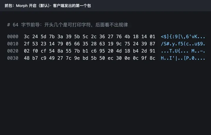 抓包：Morph 开启时第一个包是 64 字节前导，开头几个可打印字符，后面是随机字节