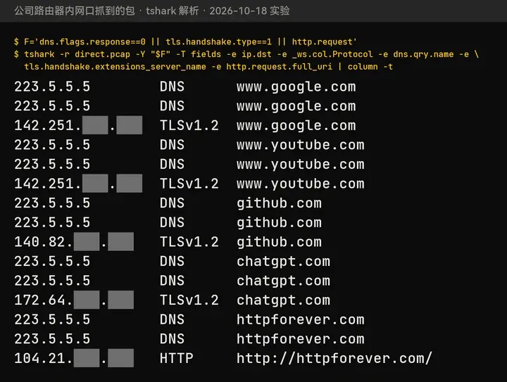 第 60 期：不翻墙时，公司路由器上抓到的 DNS 查询和 HTTPS 握手，域名全部可见