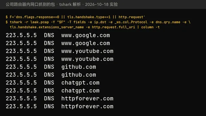 DNS 没走代理：10 条 DNS 查询发往 223.5.5.5，www.google.com、www.youtube.com、github.com、chatgpt.com、httpforever.com 都能看到