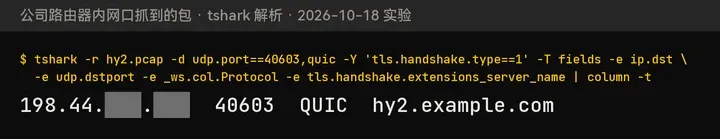 Hysteria2：QUIC 握手，目标 198.44.x.x 的 40603 端口，SNI hy2.example.com