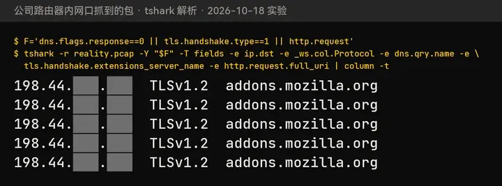 VLESS + REALITY：5 条握手，目标 198.44.x.x:40602，SNI 都是 addons.mozilla.org