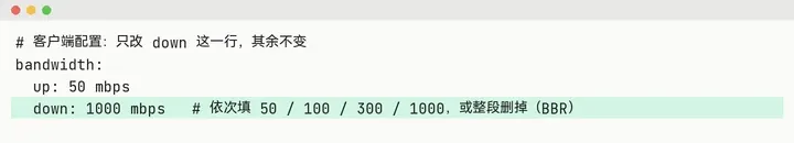 测试用的客户端配置：bandwidth 下 up 50 mbps，down 依次填 50、100、300、1000，或整段删掉用 BBR