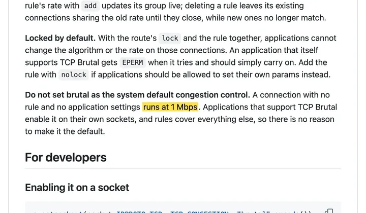 tcp-brutal README：不要把 brutal 设为系统默认拥塞控制，没有规则和程序设置的连接只有 1 Mbps