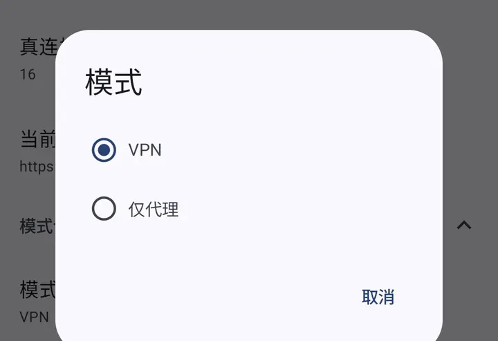v2rayNG 设置 → 模式:VPN、仅代理