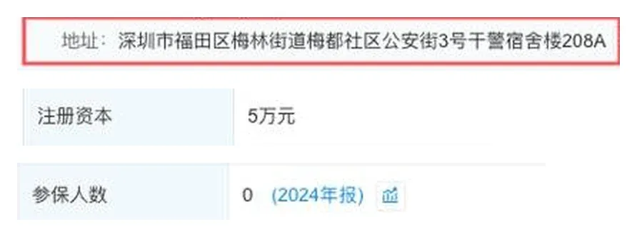 企查查显示的开发者注册地址、注册资本和参保人数，其余信息未展示