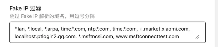Fake IP 过滤默认值：.lan、.local 等