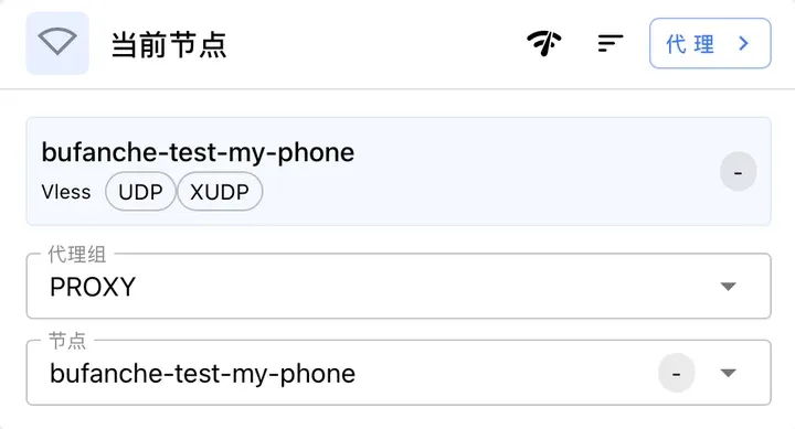 Clash Verge Rev 首页当前节点：Vless、UDP、XUDP 标记