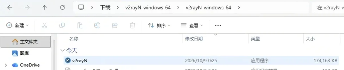 解压出来的文件夹:v2rayN 主程序和 bin 文件夹