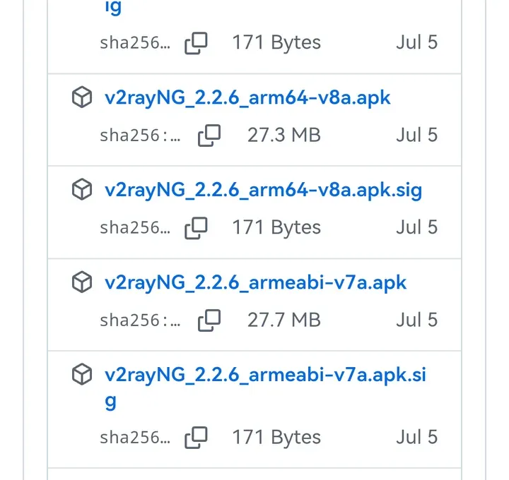 GitHub 发布页 Assets：v2rayNG_2.2.6_arm64-v8a.apk，27.3 MB