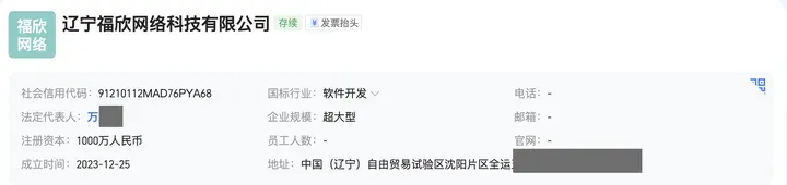 辽宁福欣网络科技有限公司工商信息：2023-12-25 成立，注册资本 1000 万，软件开发，地址在沈阳