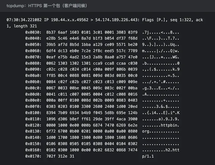 HTTPS 第一个包的十六进制，右侧能读出明文的 httpbin.org