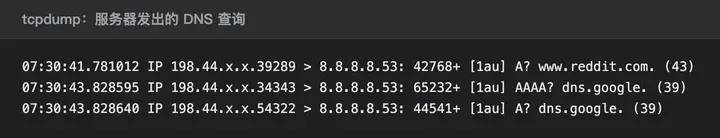 服务器抓包里的 DNS 查询，要查的域名 www.reddit.com 是明文