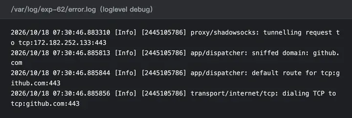 调试日志：客户端只发来 IP 172.182.252.133，服务端嗅探出域名 github.com