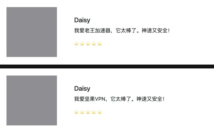 两个“官网”评价区：同一个 Daisy，一句说我爱老王加速器，一句说我爱坚果VPN（头像为真人照片，已打码）