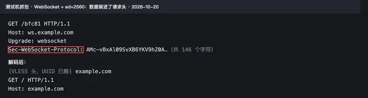 实测：Sec-WebSocket-Protocol 头里装着首包，解码后是去 example.com 的请求
