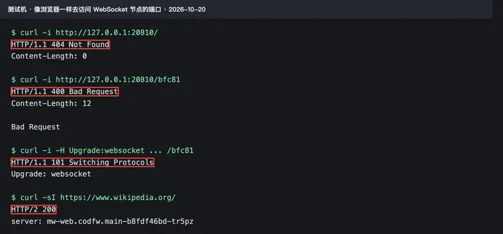 实测：直接访问回空白 404；路径对了回 400 Bad Request；带升级头不用密码就回 101；正常网站回 HTTP/2 200