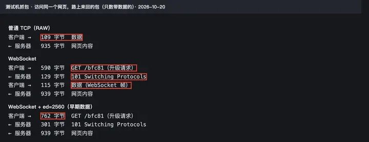 实测：RAW 第一包就是数据；WebSocket 先发升级请求、等 101 再发数据；加 ed=2560 后数据跟着升级请求一起走