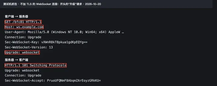 抓包：GET /bfc81 HTTP/1.1、Host: ws.example.com、Upgrade: websocket，服务器回 101 Switching Protocols