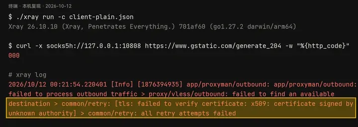 Xray v26.10.10 连接私有证书机构签的节点：tls: failed to verify certificate: x509: certificate signed by unknown authority
