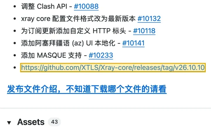 v2rayN 7.25.6 更新说明：链到 Xray-core v26.10.10